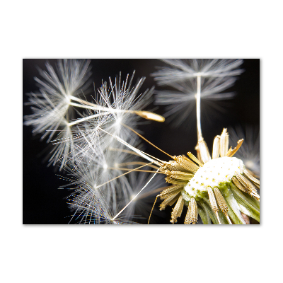 Tableau imprimé sur verre Vent de pissenlit