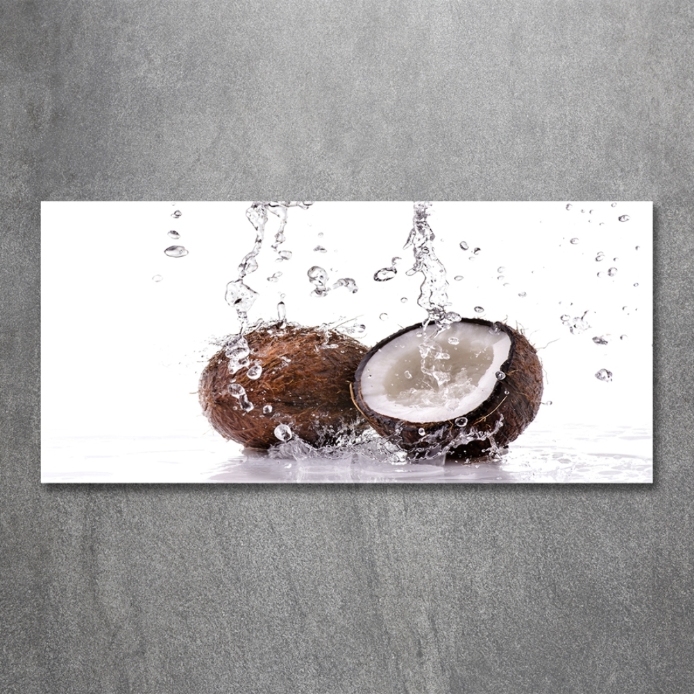 Tableau imprimé sur verre Noix de coco et eau