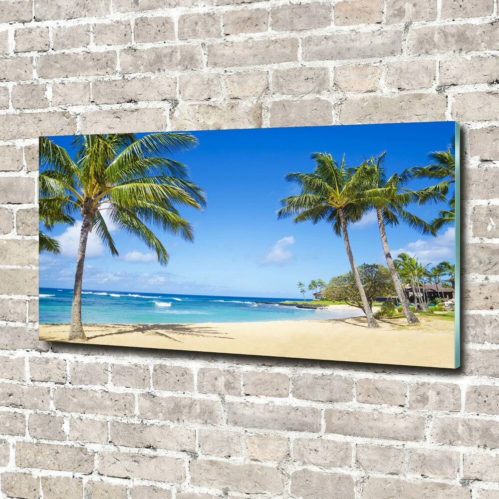 Tableau en verre Plage tropicale palmiers