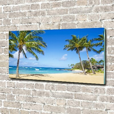 Tableau en verre Plage tropicale palmiers