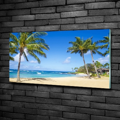 Tableau en verre Plage tropicale palmiers