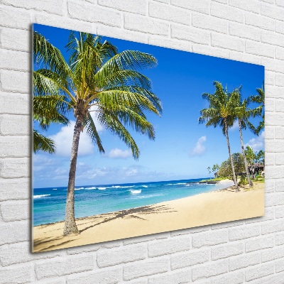 Tableau en verre Plage tropicale palmiers