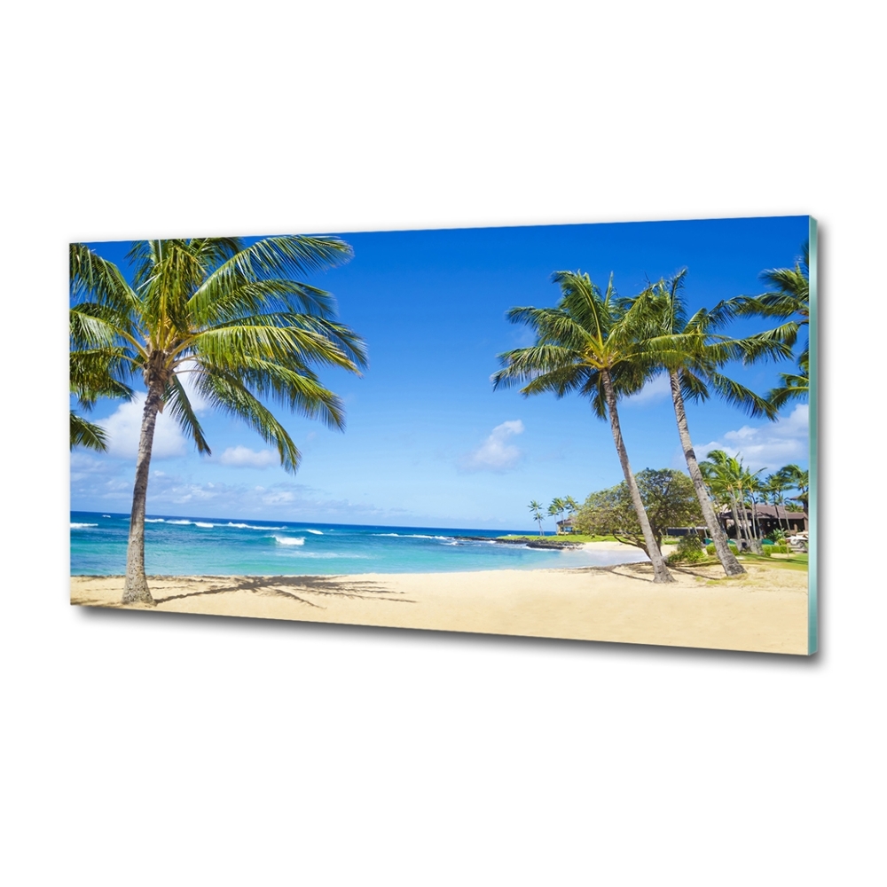 Tableau en verre Plage tropicale palmiers