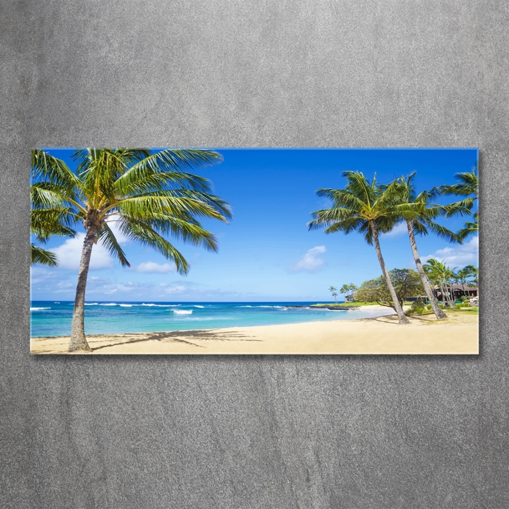 Tableau en verre Plage tropicale palmiers