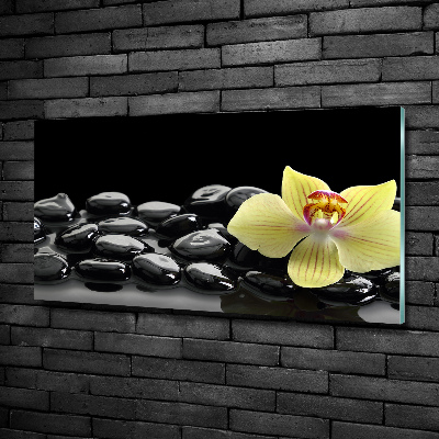 Tableau photo sur verre Orchidée