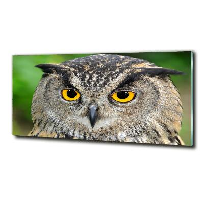 Tableau verre imprimé Hibou