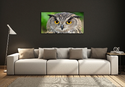 Tableau verre imprimé Hibou