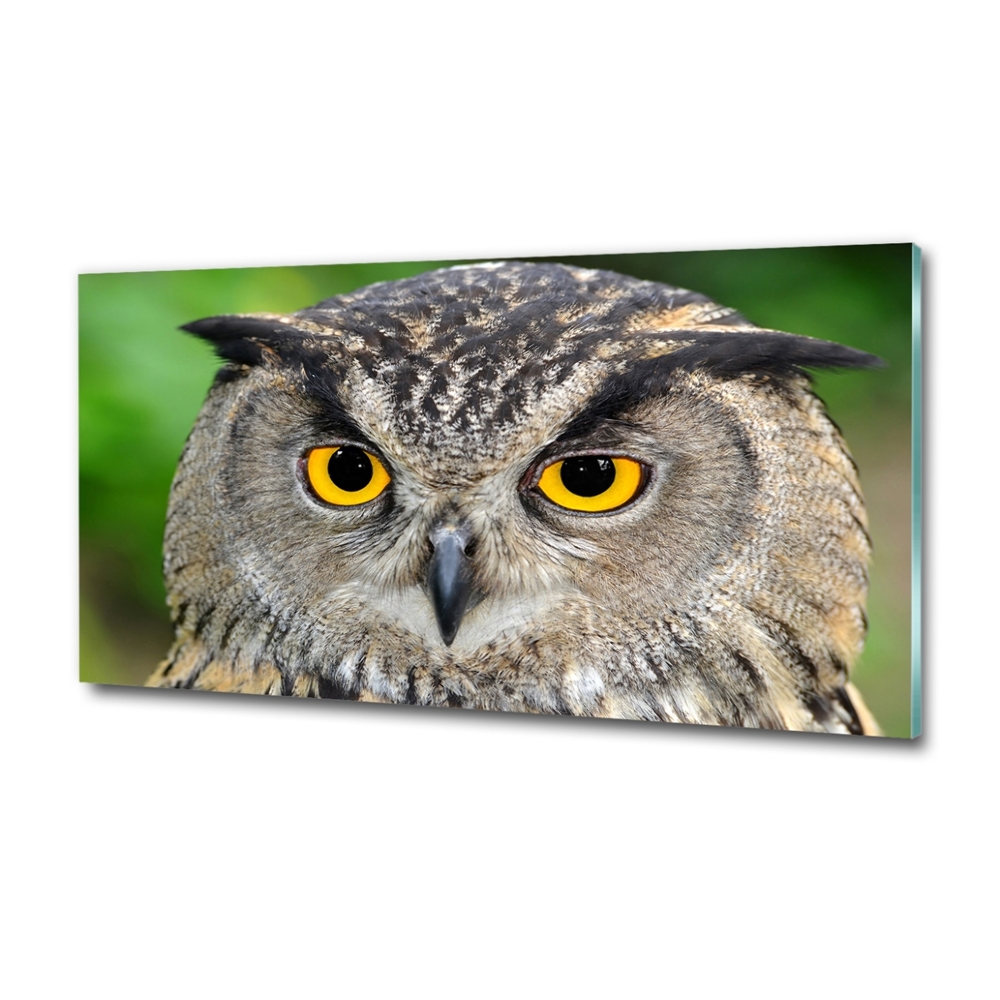 Tableau verre imprimé Hibou