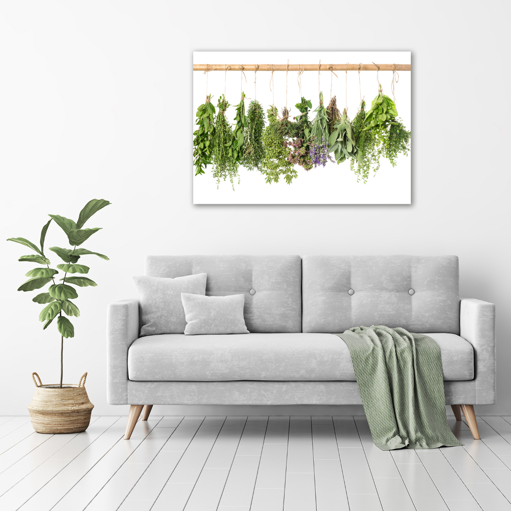 Tableau verre imprimé Herbes sur un fil