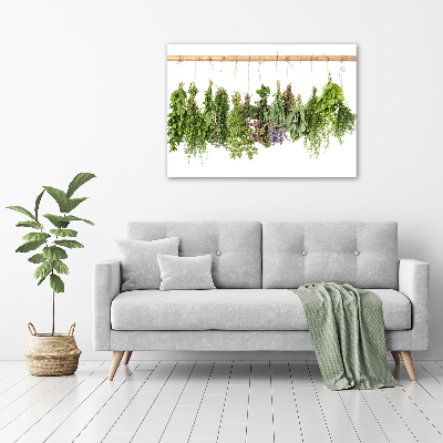 Tableau verre imprimé Herbes sur un fil