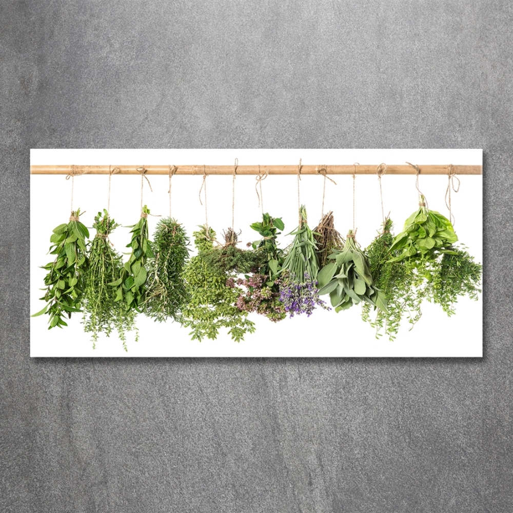 Tableau verre imprimé Herbes sur un fil