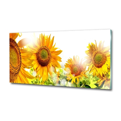 Tableau imprimé sur verre Tournesol