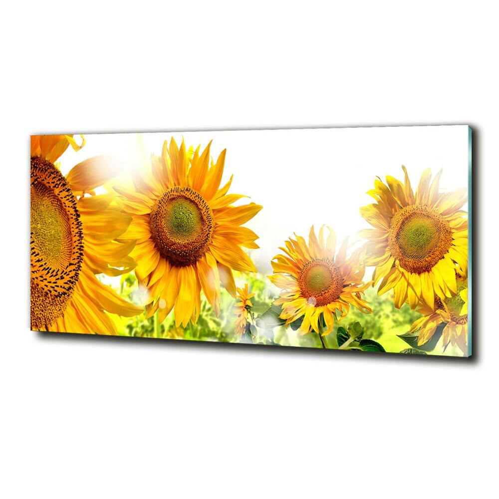 Tableau imprimé sur verre Tournesol