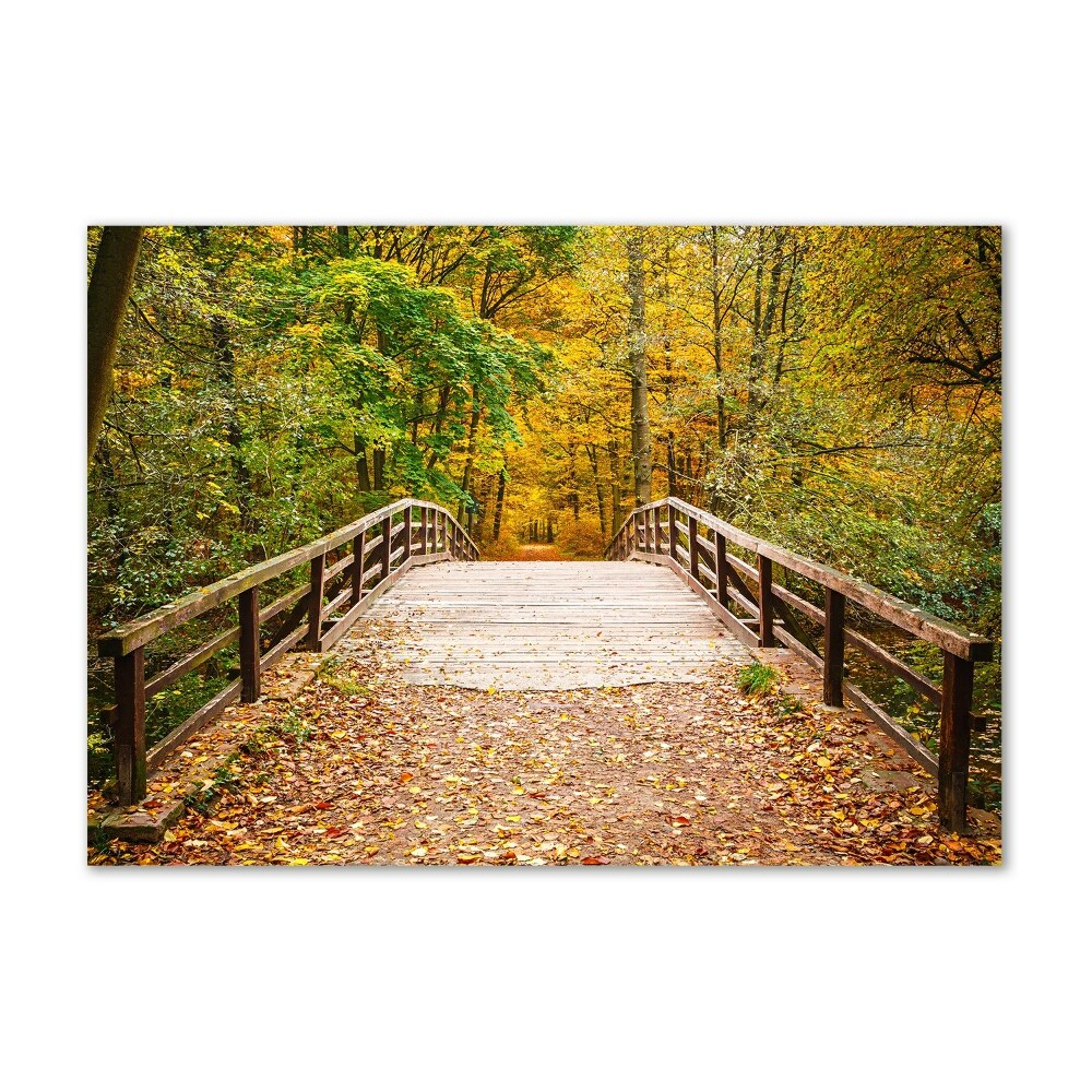 Tableau verre imprimé Pont dans les bois Automne