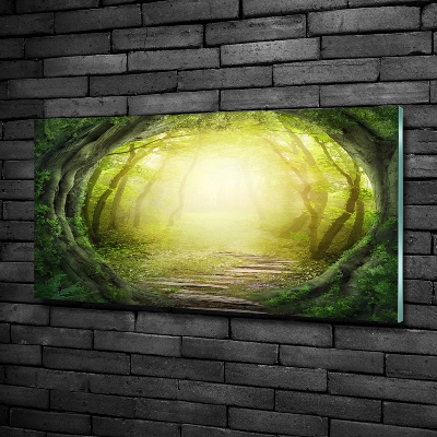 Tableau sur verre Tunnel en forme d'arbre