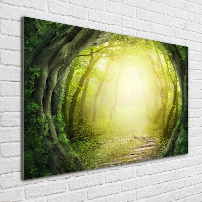 Tableau sur verre Tunnel en forme d'arbre