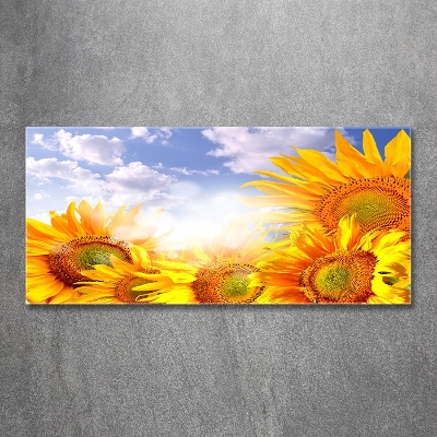 Tableau verre imprimé Tournesol