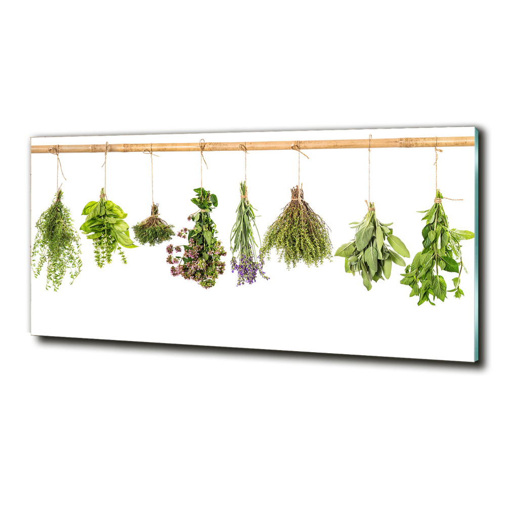 Tableau verre imprimé Herbes sur une ficelle