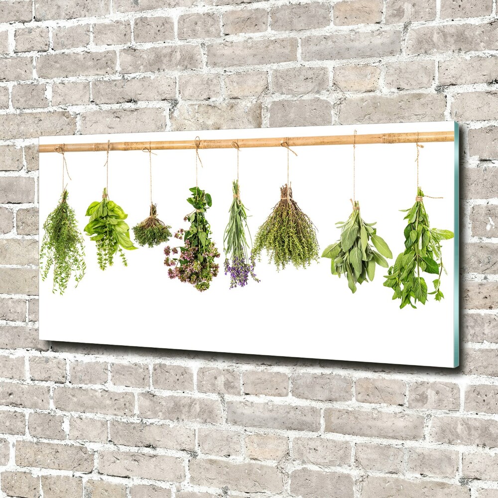 Tableau verre imprimé Herbes sur une ficelle