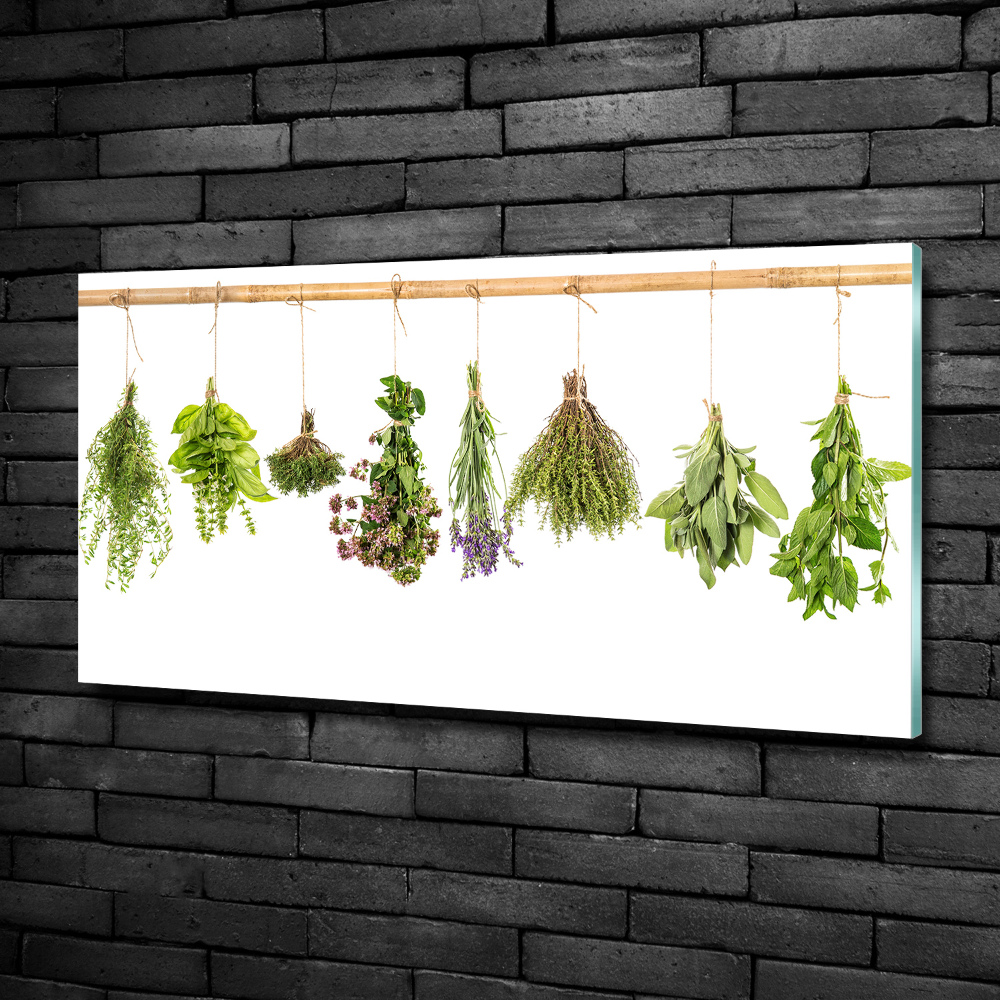 Tableau verre imprimé Herbes sur une ficelle