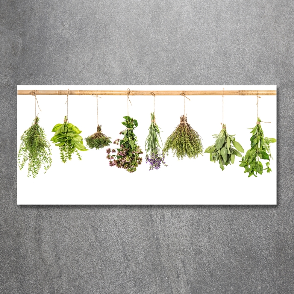 Tableau verre imprimé Herbes sur une ficelle