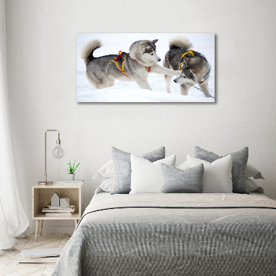 Tableau en verre Husky en hiver