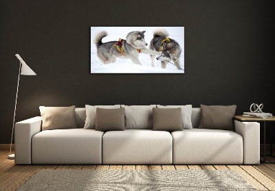 Tableau en verre Husky en hiver