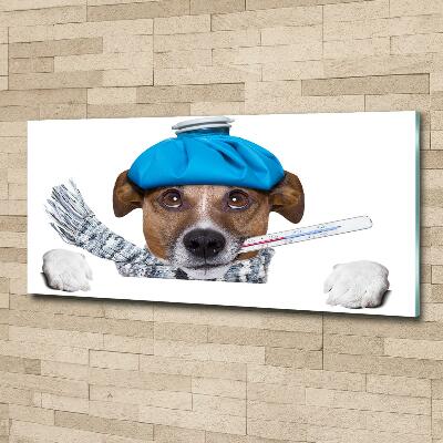 Tableau imprimé sur verre Chien malade