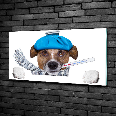 Tableau imprimé sur verre Chien malade