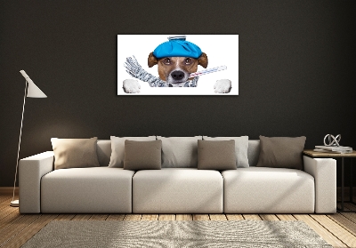 Tableau imprimé sur verre Chien malade