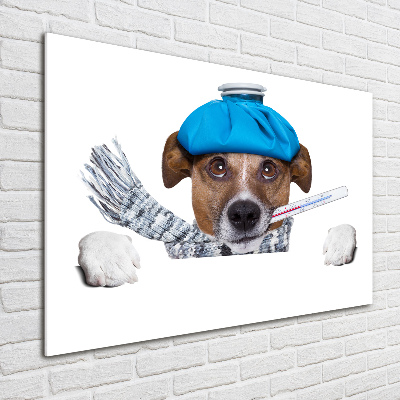 Tableau imprimé sur verre Chien malade