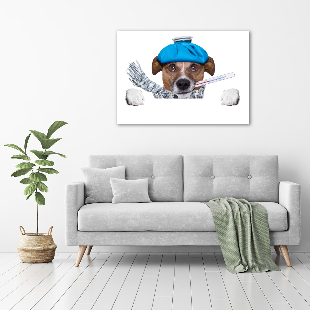 Tableau imprimé sur verre Chien malade