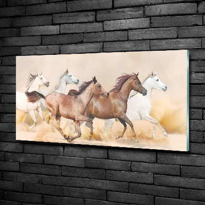 Tableau verre imprimé Chevaux au galop