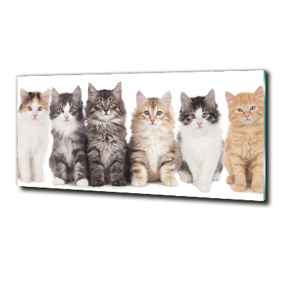 Tableau sur verre Six chats