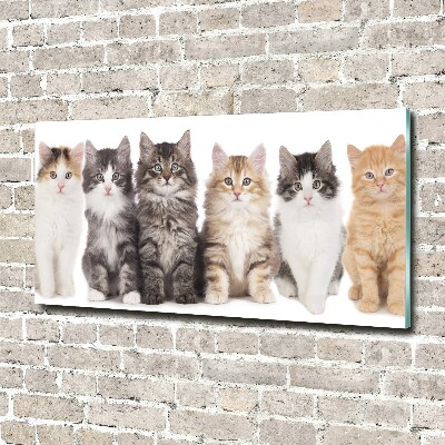 Tableau sur verre Six chats