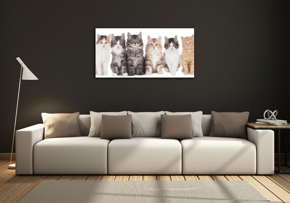 Tableau sur verre Six chats