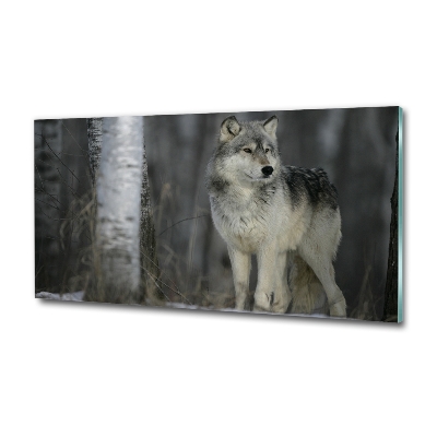 Tableau imprimé sur verre Loup gris