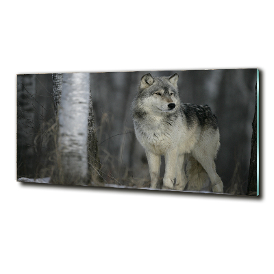 Tableau imprimé sur verre Loup gris