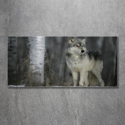 Tableau imprimé sur verre Loup gris