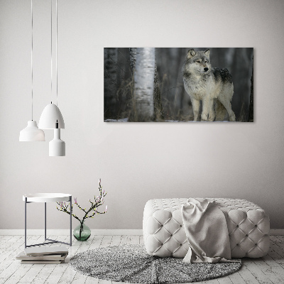 Tableau imprimé sur verre Loup gris