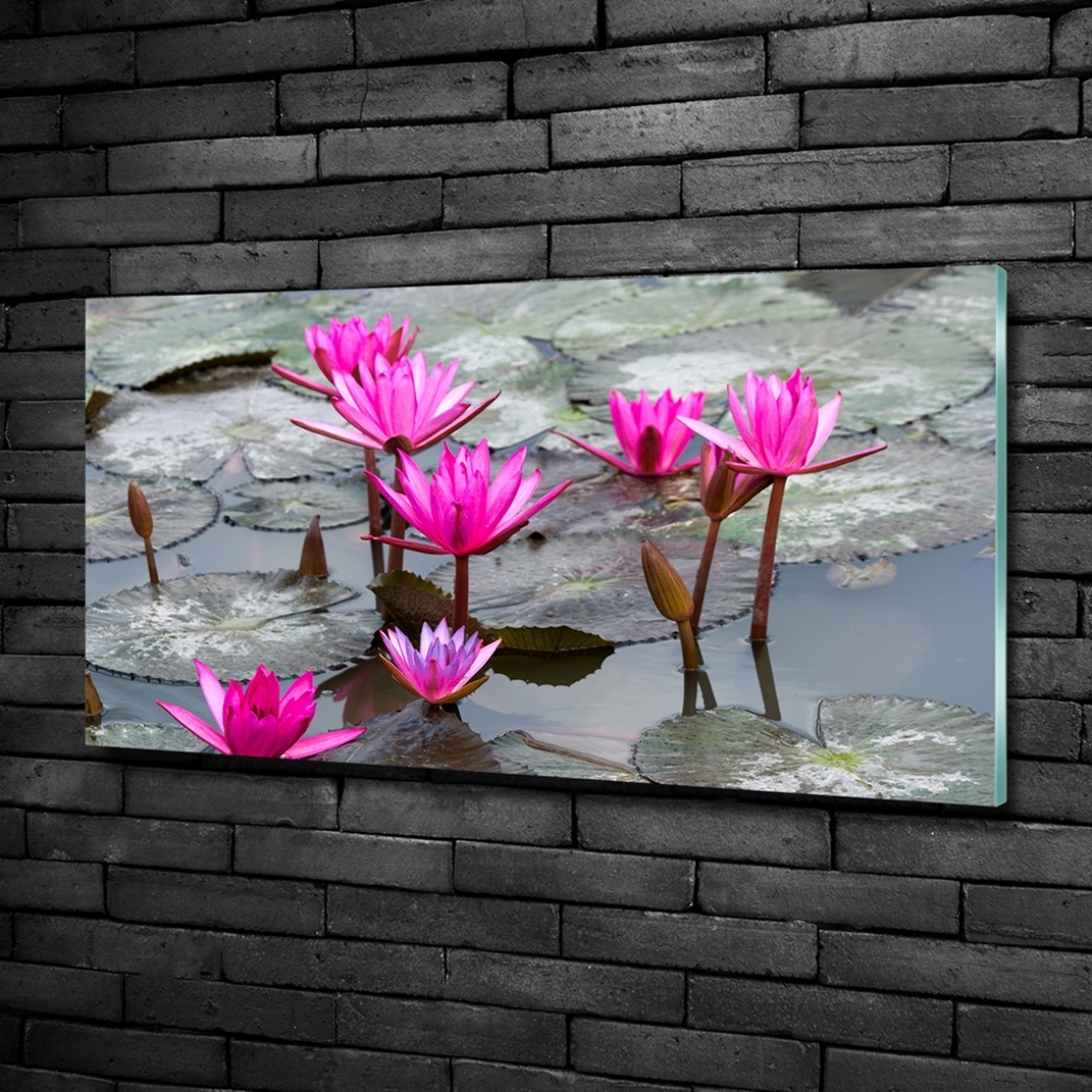 Tableau sur verre Fleur de lotus