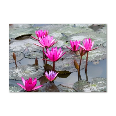 Tableau sur verre Fleur de lotus