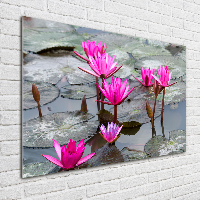 Tableau sur verre Fleur de lotus