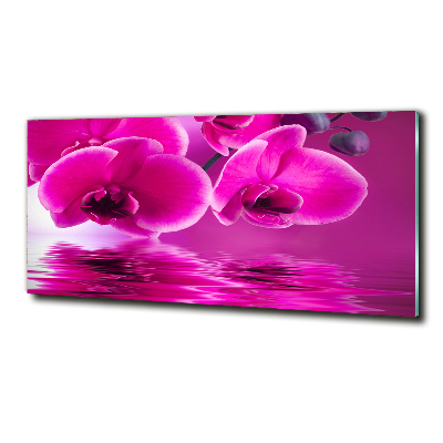 Tableau sur verre Fleur d'orchidée