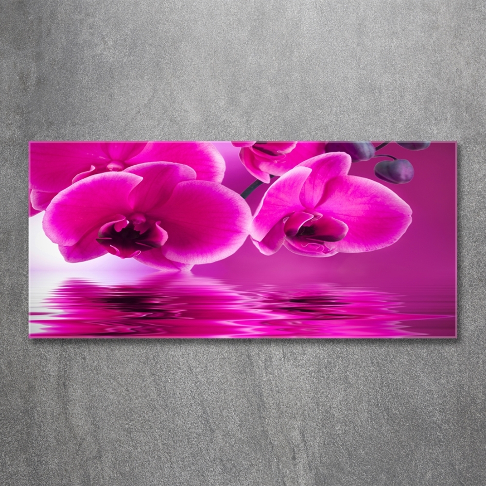 Tableau sur verre Fleur d'orchidée