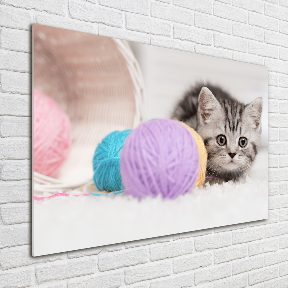 Tableau photo sur verre Chat avec des écheveaux