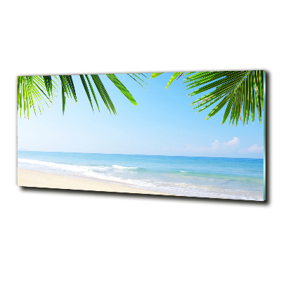 Tableau sur verre Plage tropicale palmiers