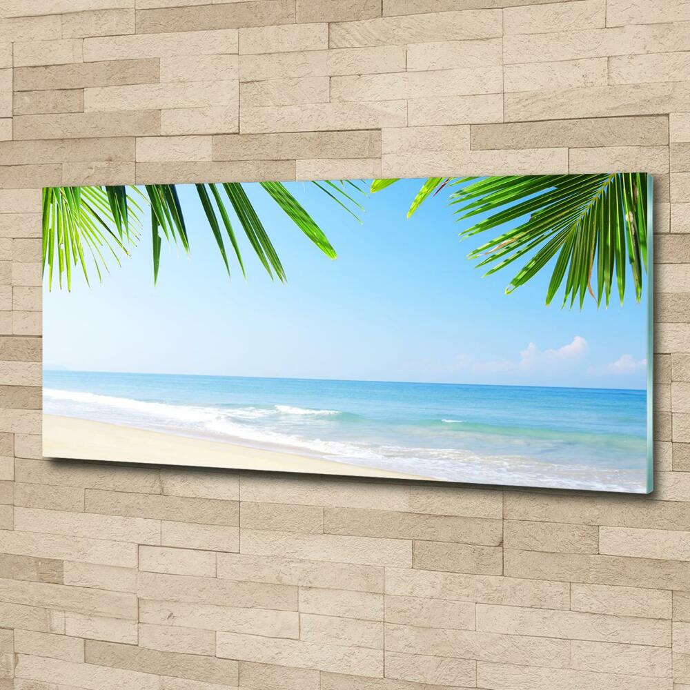 Tableau sur verre Plage tropicale palmiers