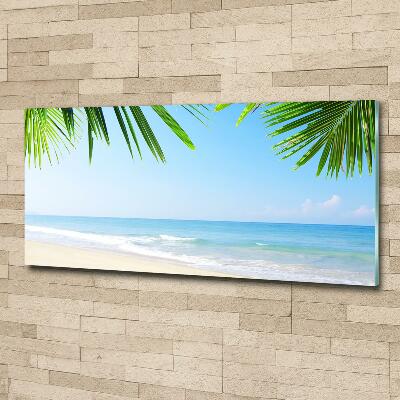 Tableau sur verre Plage tropicale palmiers