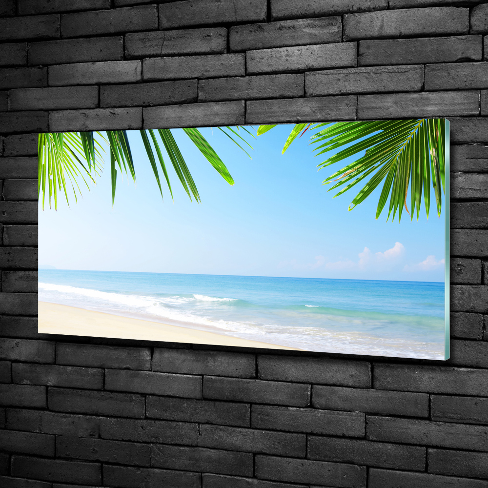 Tableau sur verre Plage tropicale palmiers